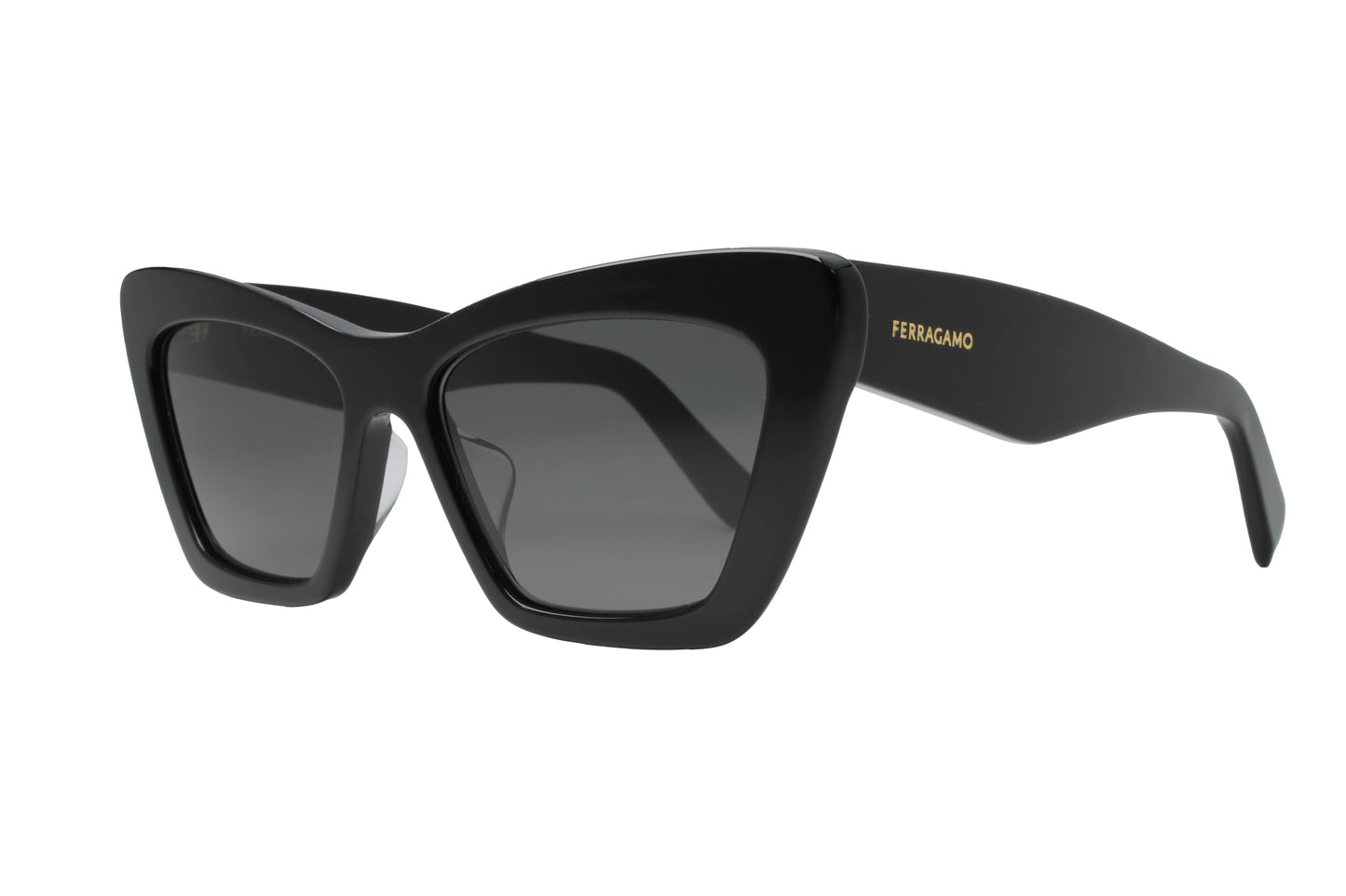 Salvatore Ferragamo SF929SLB 001