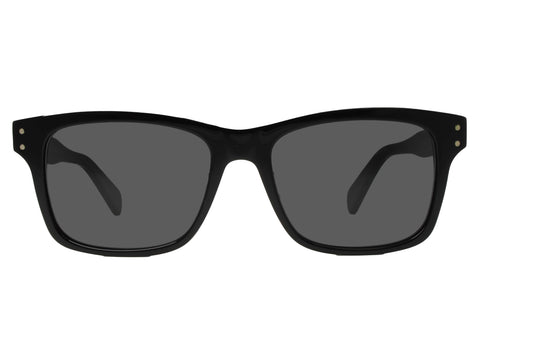 Salvatore Ferragamo SF1039SLB 001